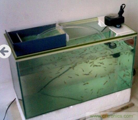 DIY初學(xué)者福音:魚缸無(wú)刷水泵DIY(高清)