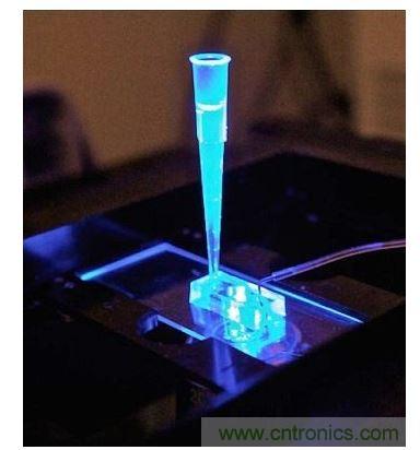 加州柏克萊大學(xué)所開發(fā)的“心臟單芯片”用以放置從成人干細(xì)胞產(chǎn)出的人類心臟組織，該系統(tǒng)有一天可望替代實(shí)驗(yàn)動(dòng)物應(yīng)用于藥物安全篩檢