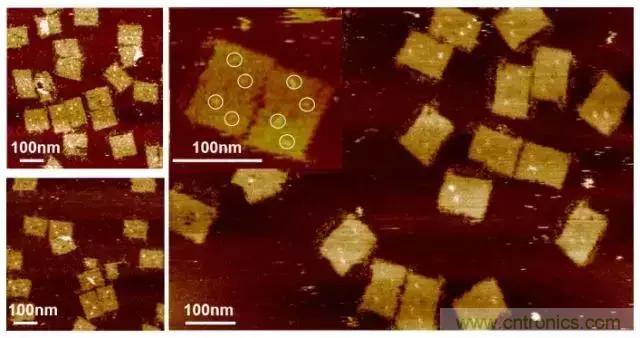 中美科學家聯(lián)手，用DNA納米機器人殺死癌細胞