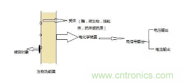 仿生傳感器的定義、原理、分類及應(yīng)用