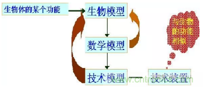 仿生傳感器的定義、原理、分類及應(yīng)用