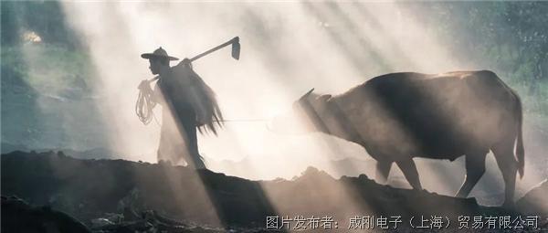 智慧農(nóng)業(yè)大有可為，“數(shù)字種地”更輕松