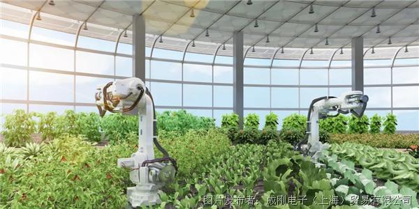智慧農(nóng)業(yè)大有可為，“數(shù)字種地”更輕松